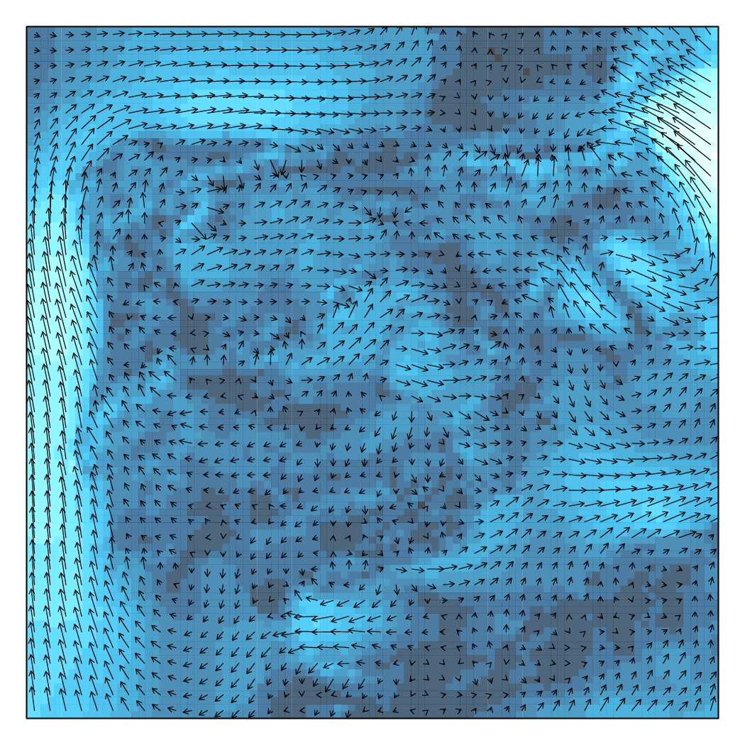 vectorplot.png